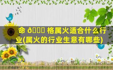 命 🐋 格属火适合什么行业(属火的行业生意有哪些)